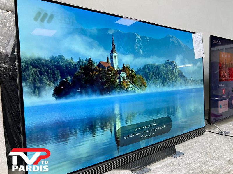 تعمیر تلویزیون OLED65E6 